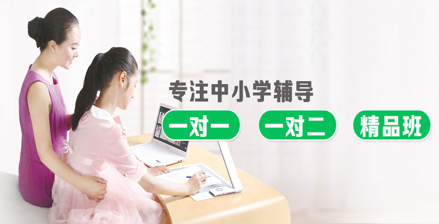專注中小學(xué)輔導(dǎo)